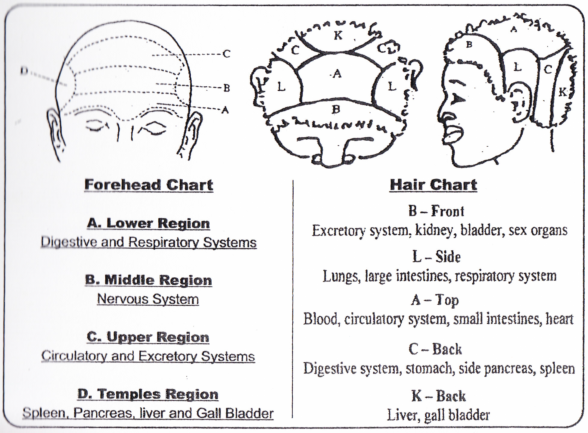 Original Aboriginal Capology forehead and hair charts supplied by the founder