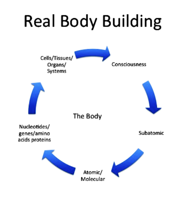Real Body Building: an NHNW illustration connecting consciousness, subatomic and atomic levels, molecules, genes, proteins, cells, tissues, organs and body systems
